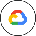 8-google-interconnect-partner icon