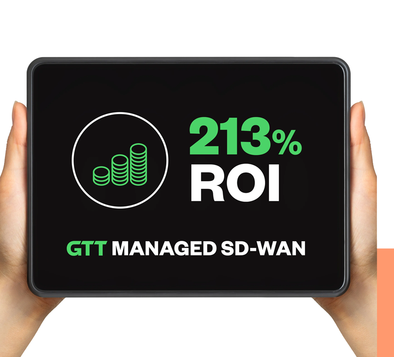 SD-WAN-213-ROI